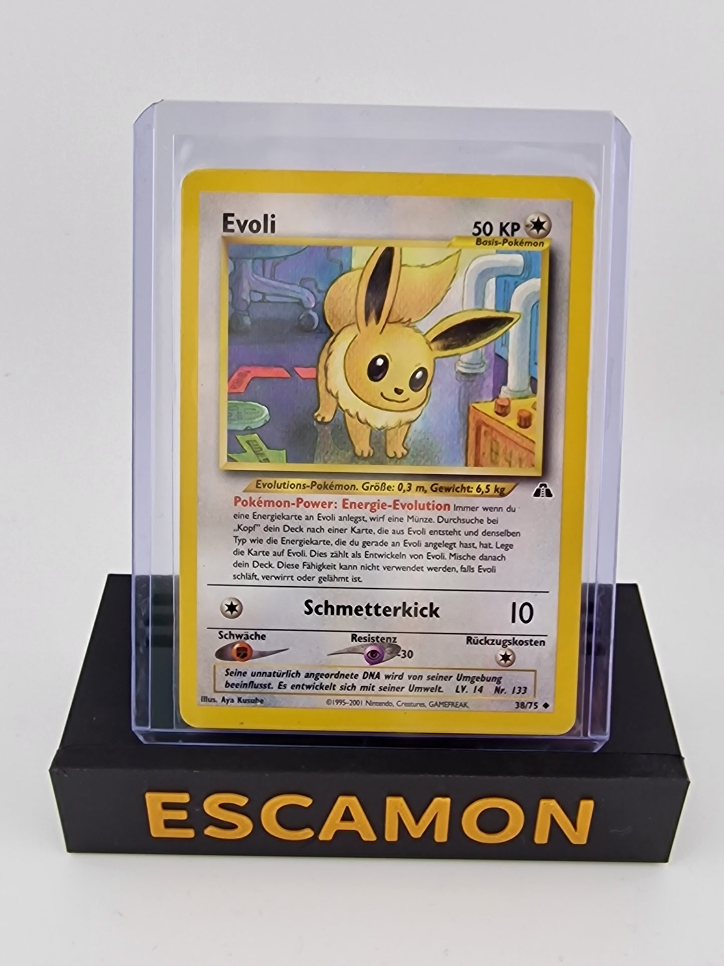 Evoli Neo Discovery