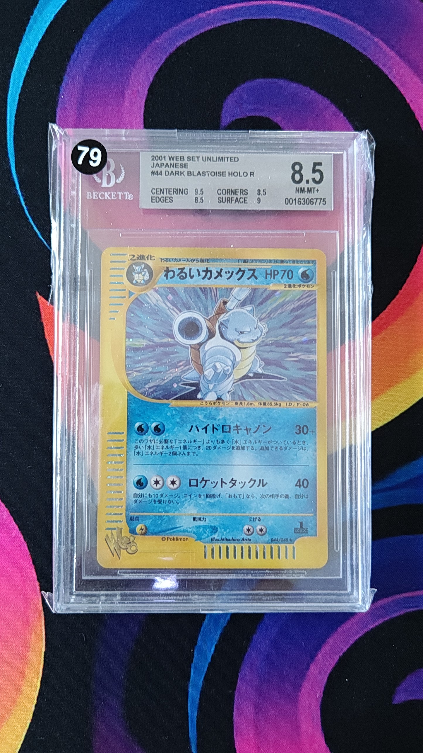 Dark Blastoise Holo 2001 Web Set 